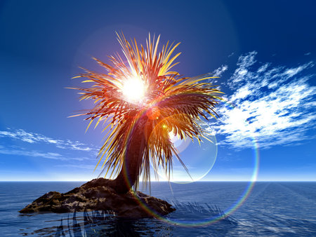 single palm on the uninhabited island on sunset of a sunの写真素材