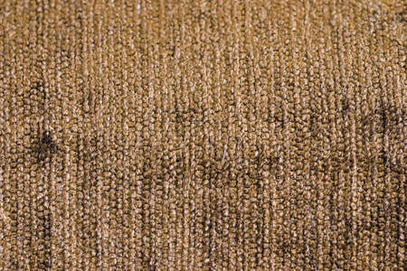 texture of carpet coverage of brown color with a shallow napの写真素材