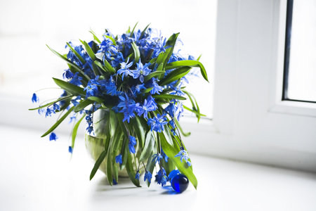 Fresh spring flowers in a vase on a window sillの写真素材