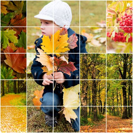 in the autumn park with yellow and red leavesの写真素材
