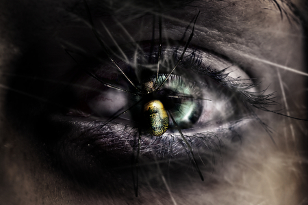 horror spider on vampire eyes in mad houseの写真素材