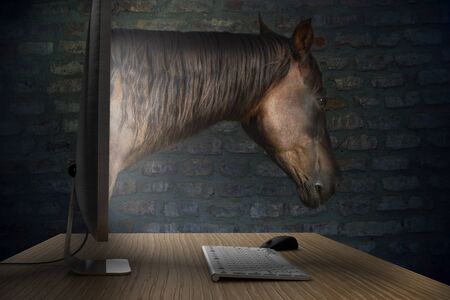 online cyber fraud and computer hacker conceptの写真素材
