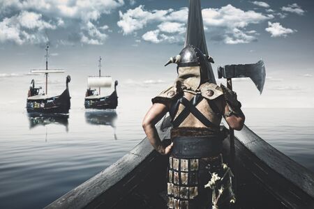 viking king warriorの写真素材