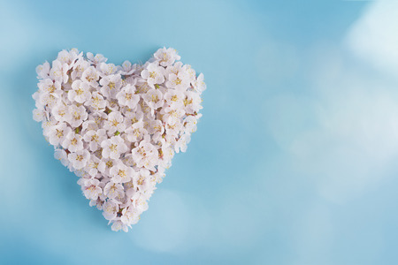 Heart shape form flowers blooming in spring trees.Copyspaseの写真素材