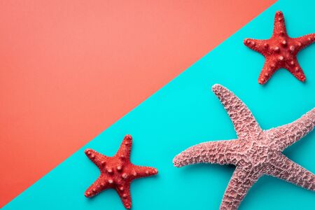 Sea stars big and small against the background of a coral and aquamarine color divided diagonally with copy space.の写真素材