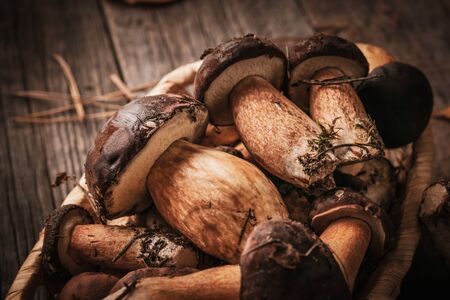 Fresh bay bolete forest mushrooms in wicker basket on wooden background.の写真素材