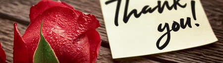 Close-up of a rosebud and a note saying "Thank you!" banner.の写真素材