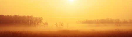 Sunrise and fog over plants autumn landscape panoramic banner.の写真素材