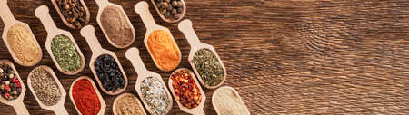 Assortment of various spices in wooden spoons with copy space banner
