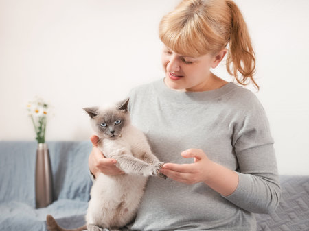 Woman playing with disgruntled cat indoorsの写真素材