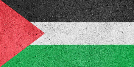 Flag of Palestine on a plaster wallの写真素材