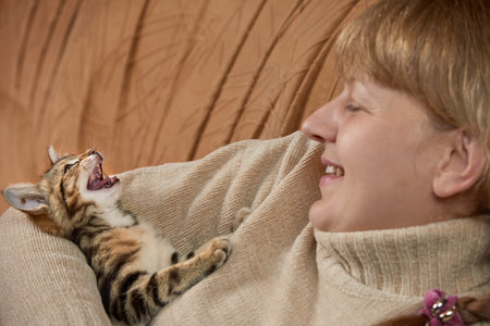 Smiling middle aged woman sitting on sofa hugging angry kitten indoors close up with copy spaceの写真素材