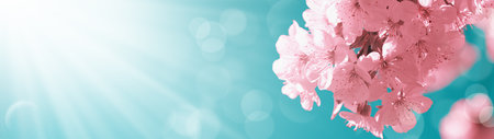 Beautiful springtime background. Beautiful pink flowers blossom tree and sky with bright sunlight....