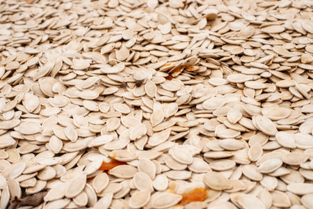 Countless pumpkin seeds lie scattered across a surface, reflecting the vibrant hues of autumn. This...