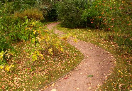 Meandering path in the park in Autumnnの写真素材