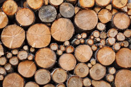 Stack of firewoodの写真素材