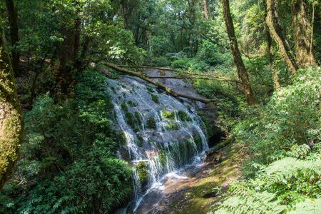 Water fall located in deep rain forest jungle at  Chiang Mai, Thailandの写真素材