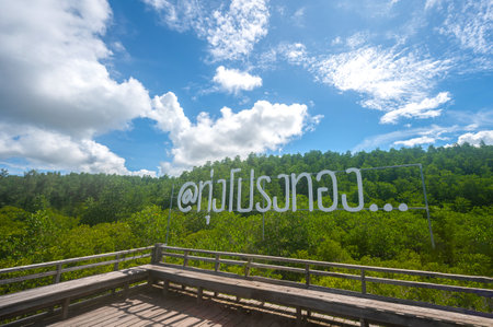 RAYONG, THAILAND - July 23, 2022 : Tung Prong Thong or beautiful golden mangrove forest field at Rayong province, Thailandの写真素材