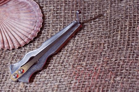 A comus musical instrument lies on a canvas. Sea shell lies on a canvas. The concept of occult music and shamanism.の写真素材