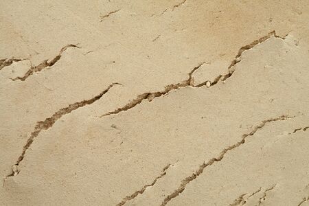 A layer of land. Background image with the texture of the earth. Photo of a slice of the earth's...