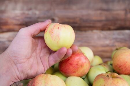 Man's hand holds an apple.