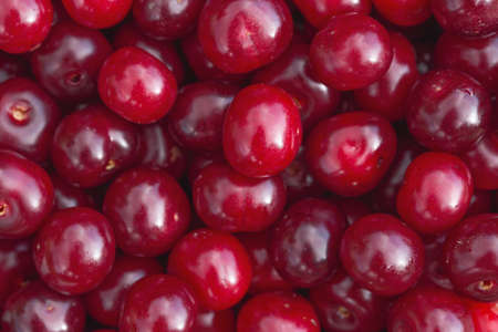 Ripe cherry berries close-up. Background image.