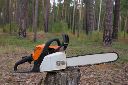 The chainsaw stands on the stump of a cut tree. In the background, a growing pine forest. The concept of deforestation on the planet.の写真素材