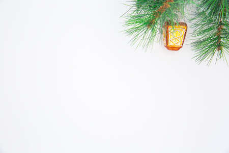 Christmas Spruce green branches on white backgroundの写真素材