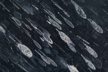 Abstract background. Splashes of dirt on a black surface.