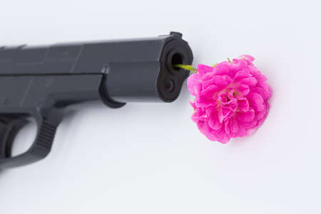 Pink flower in the barrel of a pistol. Peacekeeping concept. Truce. Cessation of hostilities concept.の写真素材