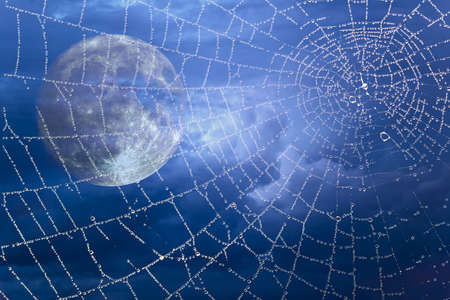 Spider web against the background of blue clouds. The moon shines through the spider web. Halloween concept.の写真素材