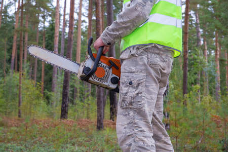 A man holds a chainsaw in his hands. In the background there is a forest. Timber industry and...