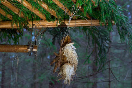 Hunting trap with bait in the forest.の写真素材