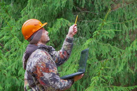 Forest engineer works with a computer in the forest. The forester points with his hand to the tree. Digital technologies in forestry.の写真素材