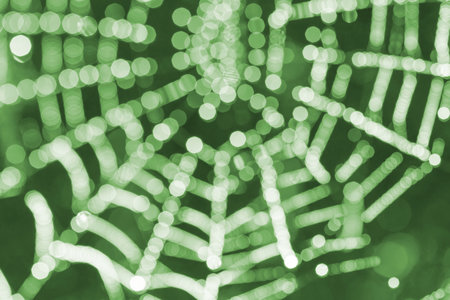 Stylized image of a spider's web on a green background. Natural background.