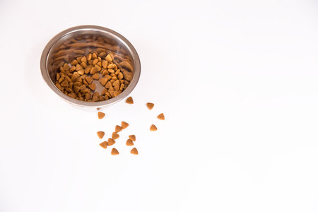 Dry food is poured into a metal bowl. Food for pets. White background. Copy space.の写真素材