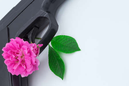 Pink flower in the barrel of a pistol. Peacekeeping concept.の写真素材