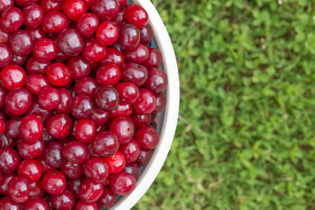 Cherries in a bucket. Photo from above. Copy space.の写真素材