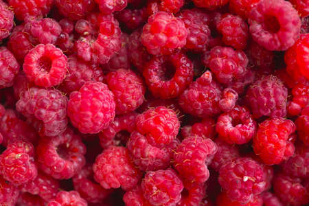 Raspberry berry, close-up photo. Forest raspberry. Natural background.