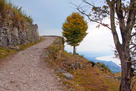 The road is next to the old stone wall.の写真素材