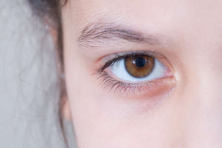 Human eye. Close-up photo. The eye is brown.の写真素材