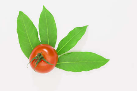 Red tomato and green laurel leaves on a white background.