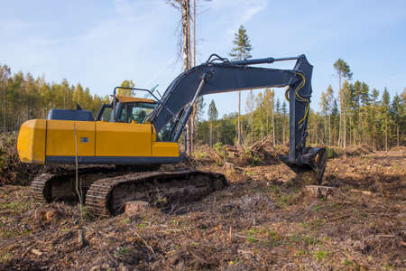 The excavator works in the forest. Construction work in the forest area.