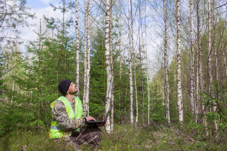 Ecologist with a computer in a young birch forest.