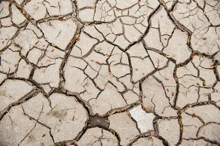 dryland. covered with cracks. background image.