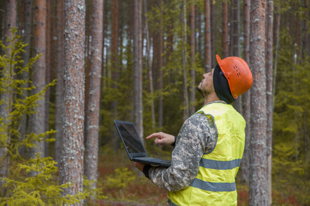 Forest engineer works with a computer in the forest. Trees are reflected on the computer monitor.の写真素材