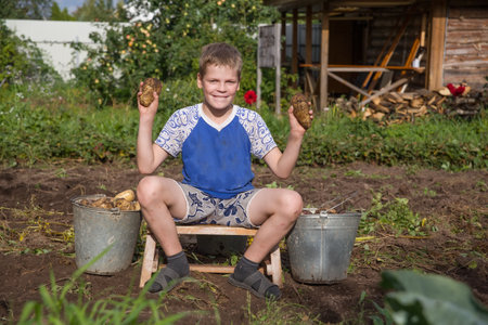 A European boy sits in the garden and holds fresh potatoes in his hands. There are buckets of potatoes nearby.の写真素材
