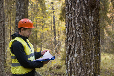 An ecologist works in the forest. A forest engineer inspects a forest planting.の写真素材