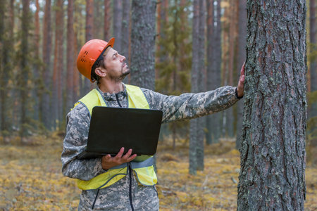 Forest engineer works in the forest with a computer. Digital technologies in the forestry industry. Real people work.の写真素材