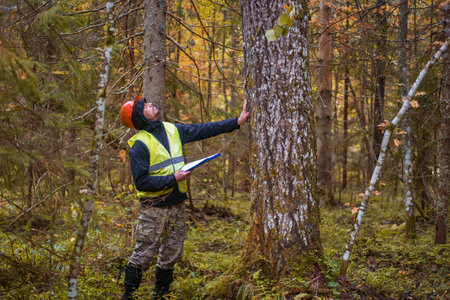 A forestry worker inspects forest plantations. ecologist works in the forest.